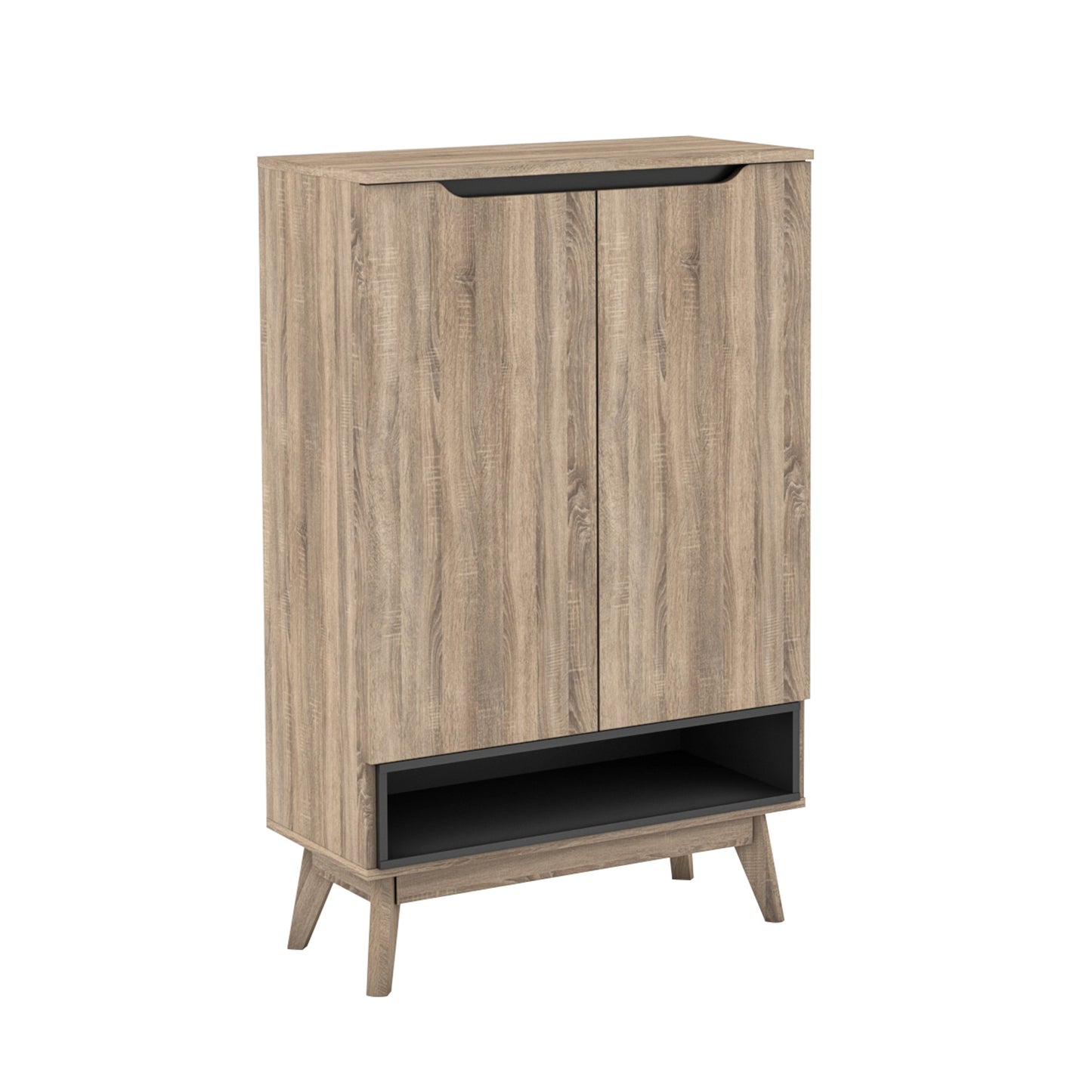 Elsi Shoe Storage Cabinet with 2 Doors