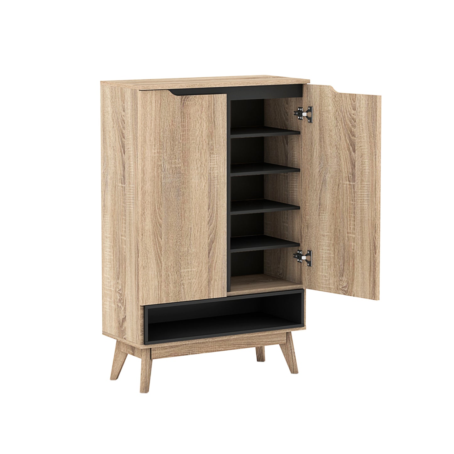 Elsi Shoe Storage Cabinet with 2 Doors