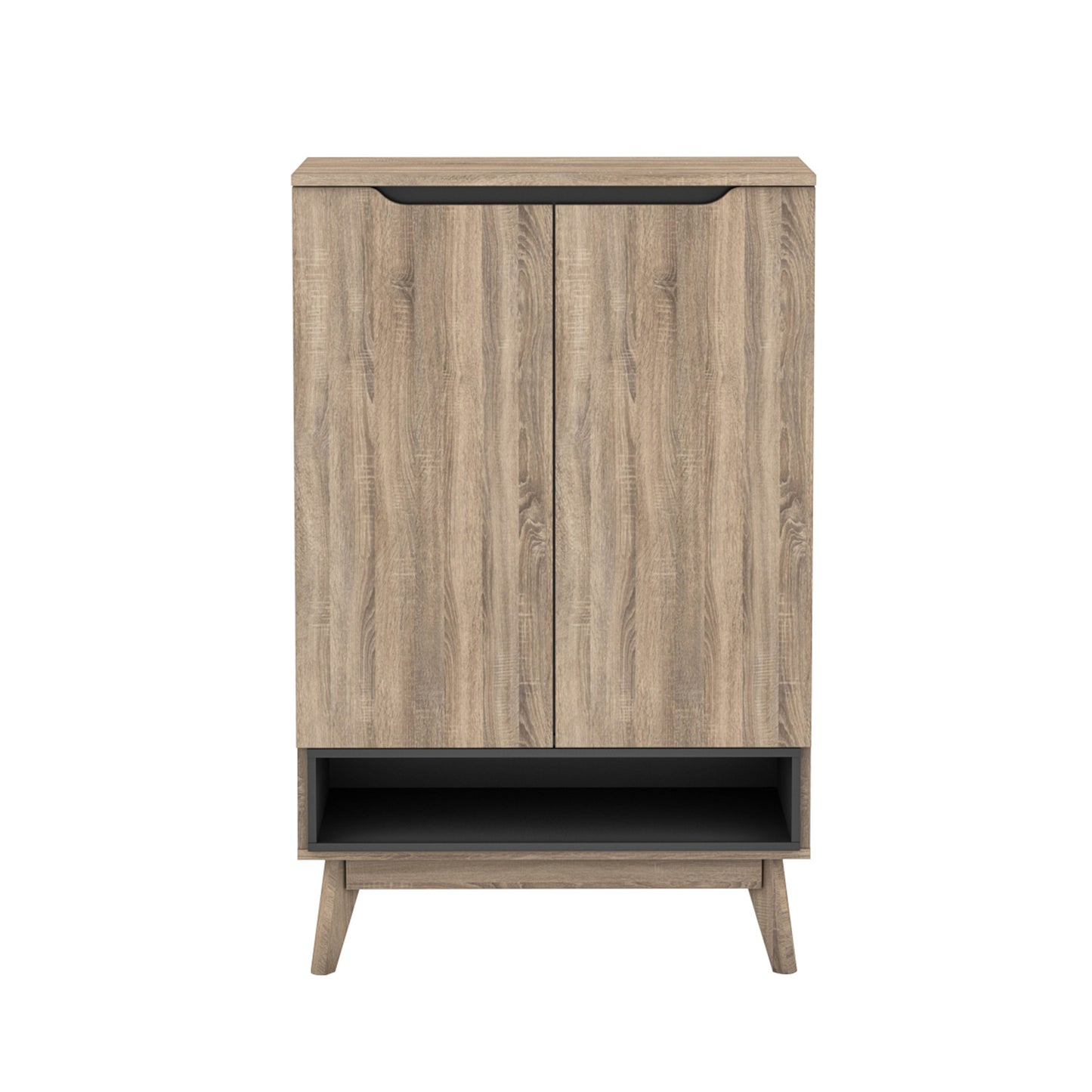 Elsi Shoe Storage Cabinet with 2 Doors