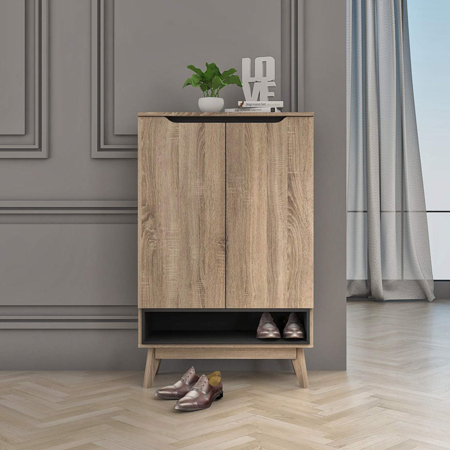 Elsi Shoe Storage Cabinet with 2 Doors