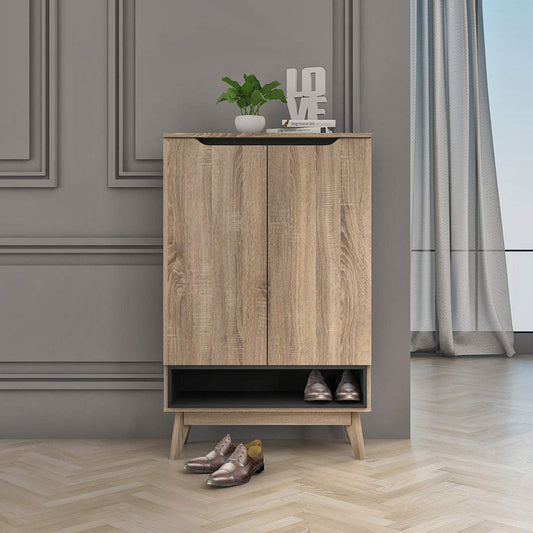 Elsi Shoe Storage Cabinet with 2 Doors