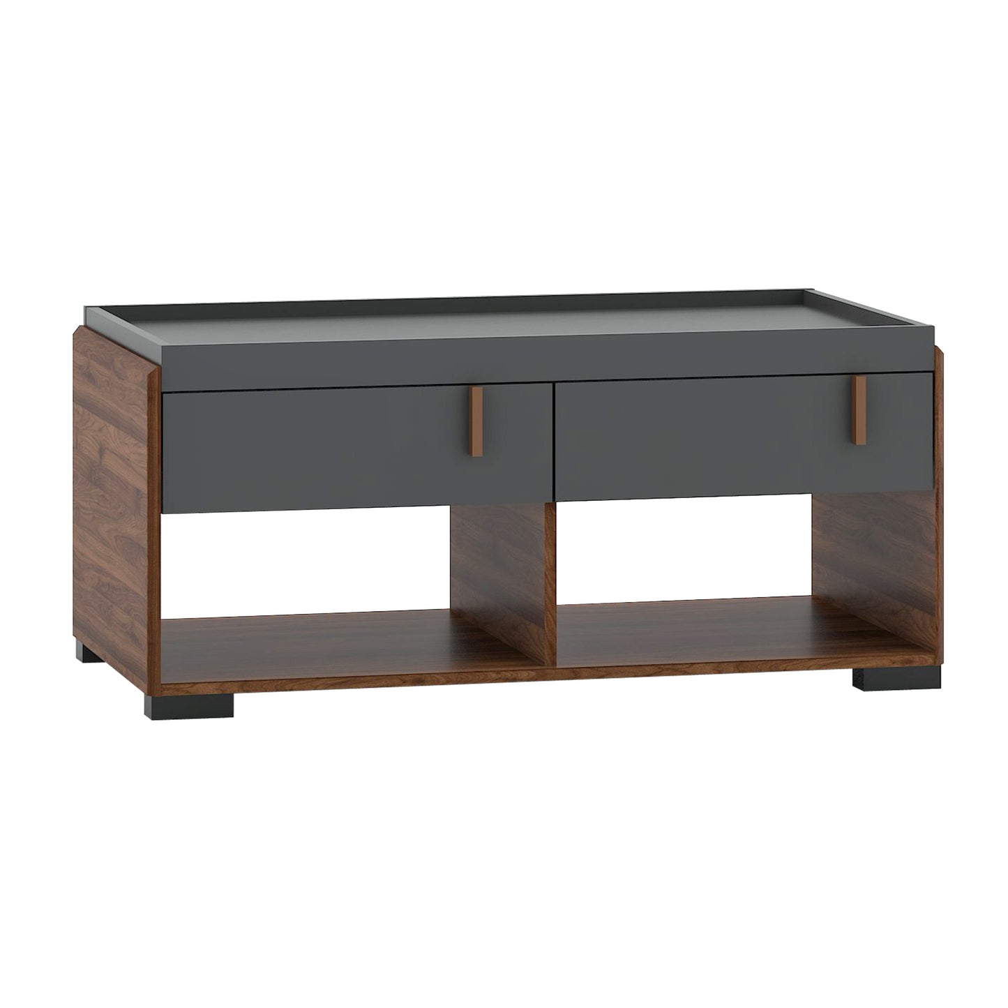 Hamis Coffee Table