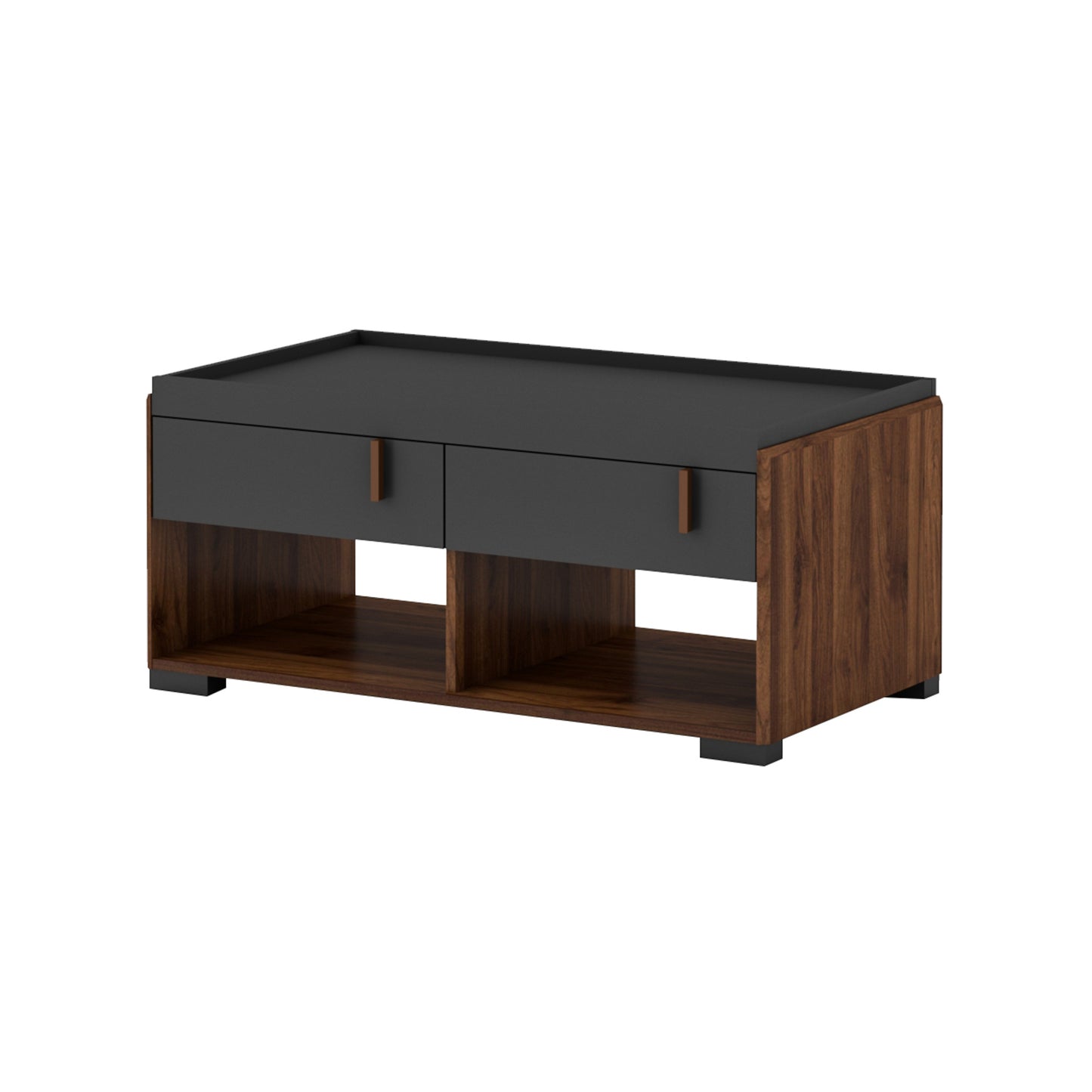 Hamis Coffee Table